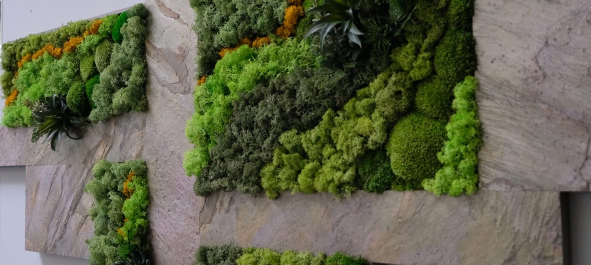 tableau-mur-vegetal-decodegio